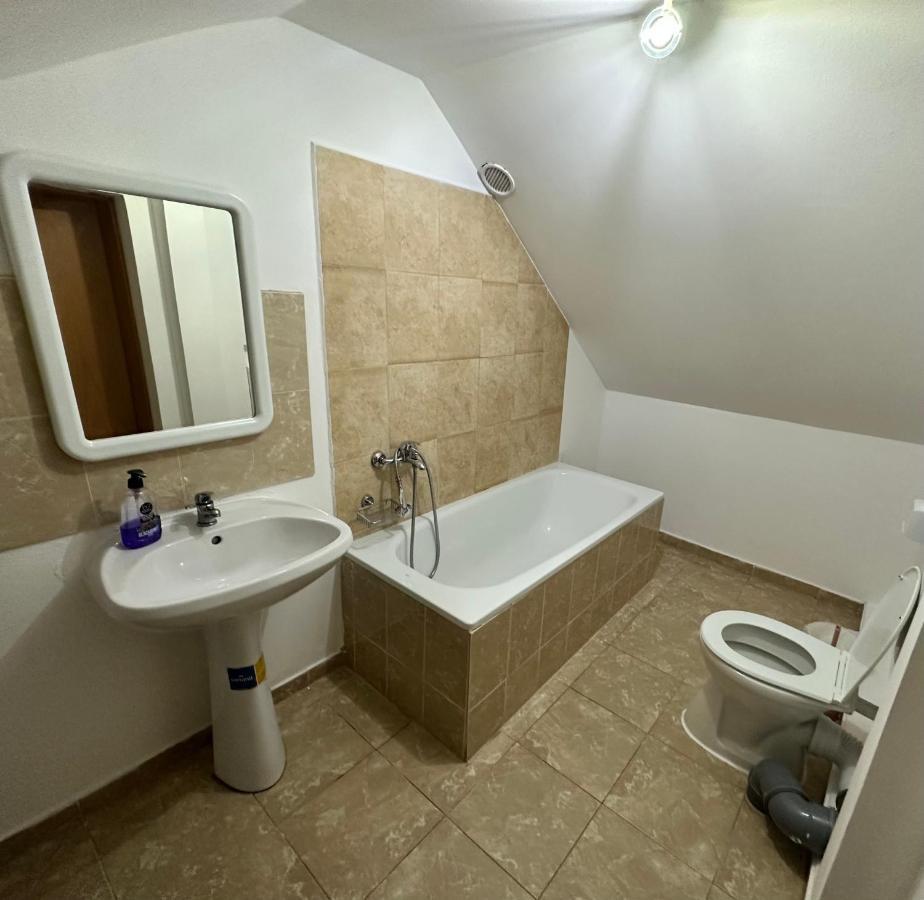 Georgiana Apartments 2 Timişoara Eksteriør billede