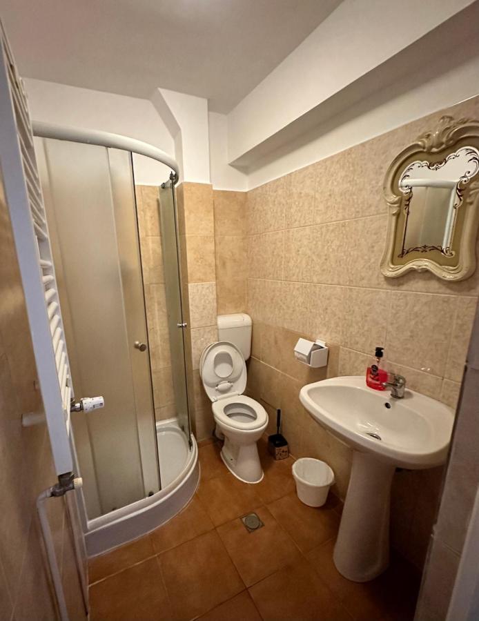 Georgiana Apartments 2 Timişoara Eksteriør billede