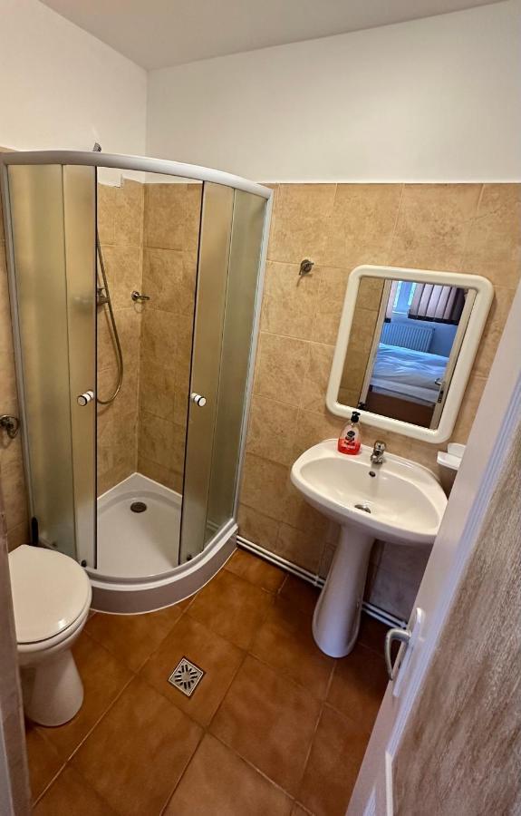 Georgiana Apartments 2 Timişoara Eksteriør billede